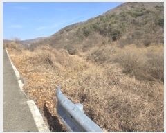  2024Ÿ��11689 ��� ��õ�� ����� ������ 896      ����(��1)���