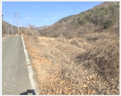  2024Ÿ��11689 ��� ��õ�� ����� ������ 896      ����(��1)���