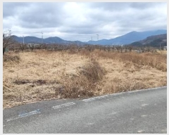  2024Ÿ101353  û û ϸ 487      ()