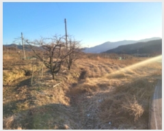  2024Ÿ101353  û û ϸ 487      ()