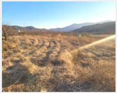  2024Ÿ101353  û û ϸ 487      ()