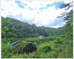  2024Ÿ��110685 ��� ��õ�� û��� ������ ��12-1      ����(�Ӿ�)���