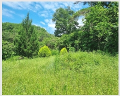  2024Ÿ��110685 ��� ��õ�� û��� ������ ��12-1      ����(�Ӿ�)���