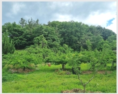  2024Ÿ��110685 ��� ��õ�� û��� ������ ��12-1      ����(�Ӿ�)���