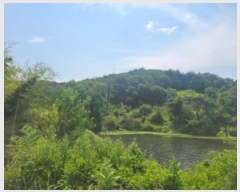  2024Ÿ��110685 ��� ��õ�� û��� ������ ��12-1      ����(�Ӿ�)���