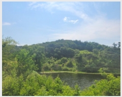  2024Ÿ��110685 ��� ��õ�� û��� ������ ��12-1      ����(�Ӿ�)���