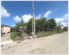  2024Ÿ��113806 ��� ĥ� ���� ���ȸ� 514-9      ����(����)���