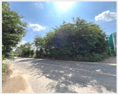  2024Ÿ��113806 ��� ĥ� ���� ���ȸ� 514-9      ����(����)���