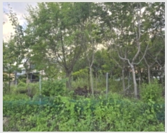  2024Ÿ��113806 ��� ĥ� ���� ���ȸ� 514-9      ����(����)���