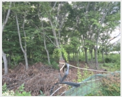  2024Ÿ��113806 ��� ĥ� ���� ���ȸ� 514-9      ����(����)���