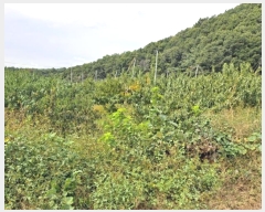  2024Ÿ��114229 ��� ��õ�� �Ӱ��� ������ 11      ����(��)���