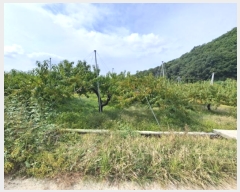  2024Ÿ��114229 ��� ��õ�� �Ӱ��� ������ 11      ����(��)���