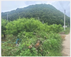  2024Ÿ��114229 ��� ��õ�� �Ӱ��� ������ 11      ����(��)���