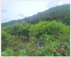  2024Ÿ��114229 ��� ��õ�� �Ӱ��� ������ 11      ����(��)���