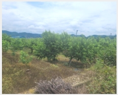  2024Ÿ��114229 ��� ��õ�� �Ӱ��� ������ 11      ����(��)���