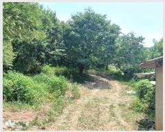  2024Ÿ117396 뱸  16 35-11, 4402ȣ      ټ,