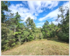  2024Ÿ118825  õ ȭ ⸮ 103-1      (Ӿ)