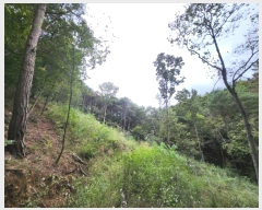  2024Ÿ118825  õ ȭ ⸮ 103-1      (Ӿ)