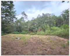  2024Ÿ118825  õ ȭ ⸮ 103-1      (Ӿ)