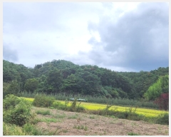  2024Ÿ118825  õ ȭ ⸮ 103-1      (Ӿ)