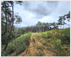  2024Ÿ118825  õ ȭ ⸮ 103-1      (Ӿ)