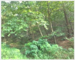  2024Ÿ118825  õ ȭ ⸮ 103-1      (Ӿ)