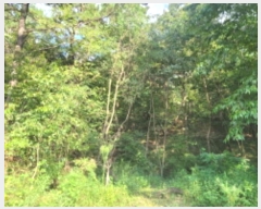  2024Ÿ118825  õ ȭ ⸮ 103-1      (Ӿ)