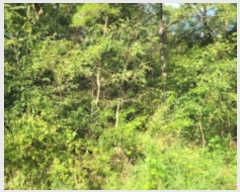  2024Ÿ118825  õ ȭ ⸮ 103-1      (Ӿ)