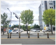  2024Ÿ��122817  ���������