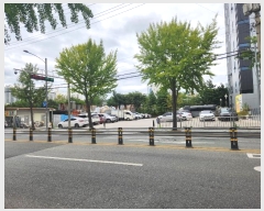  2024Ÿ��122817  ���������