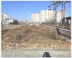  2024Ÿ��127676 ��� ��õ�� �ϻ굿 504       ����(��)���