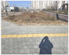  2024Ÿ��127676 ��� ��õ�� �ϻ굿 504       ����(��)���