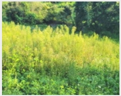  2024Ÿ��6762 ��� û���� ��� ���ϸ� 1609      ����(��)���