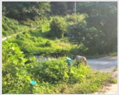  2024Ÿ��6762 ��� û���� ��� ���ϸ� 1609      ����(��)���