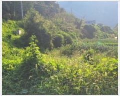  2024Ÿ��6762 ��� û���� ��� ���ϸ� 1609      ����(��)���