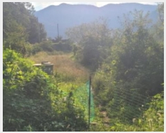  2024Ÿ��6762 ��� û���� ��� ���ϸ� 1609      ����(��)���