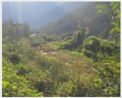  2024Ÿ��6762 ��� û���� ��� ���ϸ� 1609      ����(��)���