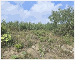  2024Ÿ��9594 ��� ��õ�� ��� 632       ����(������)���