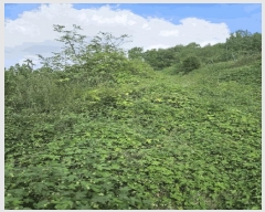  2024Ÿ��9594 ��� ��õ�� ��� 632       ����(������)���