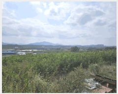  2024Ÿ��9594 ��� ��õ�� ��� 632       ����(������)���