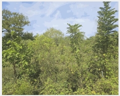  2024Ÿ��9594 ��� ��õ�� ��� 632       ����(������)���