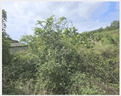  2024Ÿ��9594 ��� ��õ�� ��� 632       ����(������)���