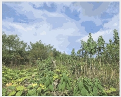  2024Ÿ��9594 ��� ��õ�� ��� 632       ����(������)���