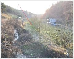  2024Ÿ��10334 ��� ��õ�� ����� �и� 359      ����(��1)���