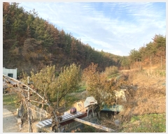  2024Ÿ��10334 ��� ��õ�� ����� �и� 359      ����(��1)���