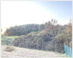  2024Ÿ��10334 ��� ��õ�� ����� �и� 359      ����(��1)���