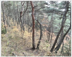  2024Ÿ��10334 ��� ��õ�� ����� �и� 359      ����(��1)���