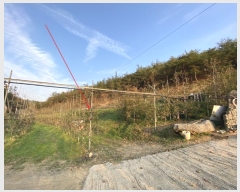  2024Ÿ��10334 ��� ��õ�� ����� �и� 359      ����(��1)���