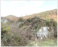  2024Ÿ��10334 ��� ��õ�� ����� �и� 359      ����(��1)���