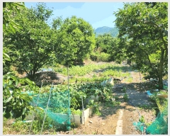  2024Ÿ��108125  �����